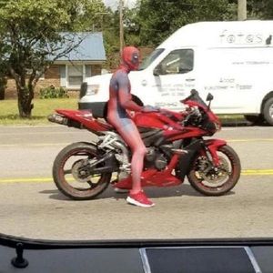 Meet your Posher, Luis